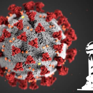 Communication on the spread of SARS-CoV-2 variants in the country September 23, 2025
